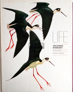 Life. The Science of Biology