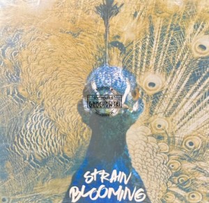 Strain - Blooming CD