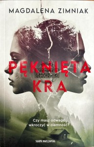 Pęknięta kra