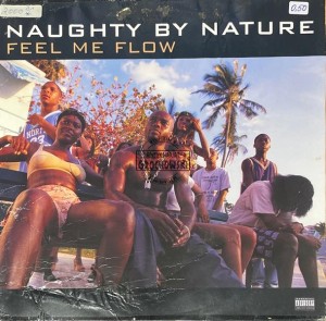 Naughty By Nature – Feel Me Flow / Hang Out And Hustle 12"