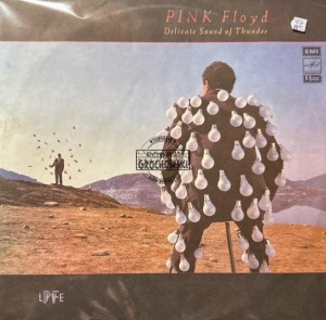 Pink Floyd – Delicate Sound Of Thunder (PF Live) 2LP