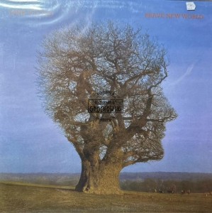 Pink Floyd – Brave New World LP