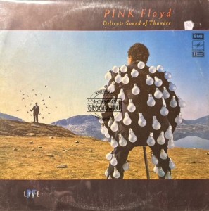 Pink Floyd – Delicate Sound Of Thunder 2LP