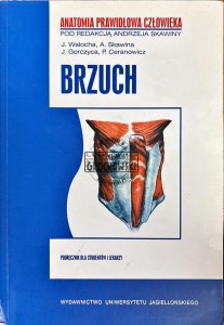 Anatomia prawidłowa człowieka. Brzuch
