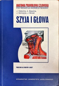 Szyja i głowa