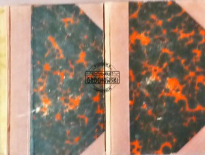 De L'Intelligence, Tome 1-2