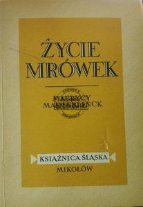 Życie mrówek