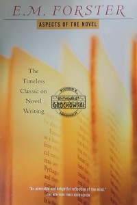 Aspects of the Novel