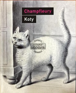 Koty