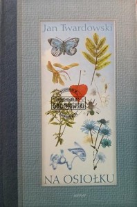 Na osiołku