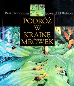 Podróż w krainę mrówek