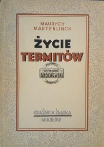Życie termitów