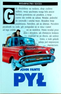 Pył