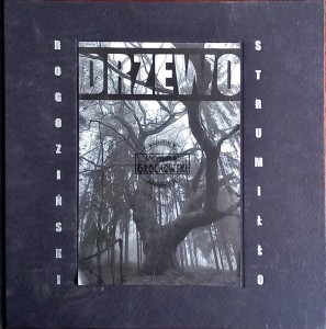 Drzewo