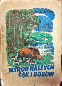 Wśród naszych łąk i borów