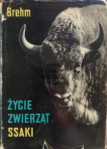 Życie zwierząt, Ssaki
