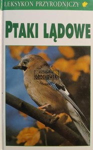 Ptaki lądowe