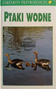 Ptaki wodne