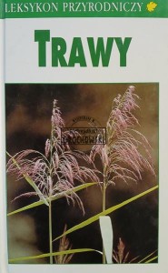 Trawy