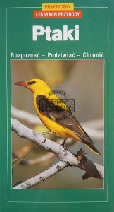 Ptaki