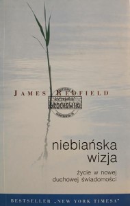 Niebiańska wizja