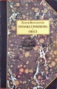Notatki z podziemia; Gracz