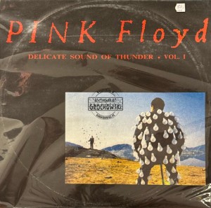 Pink Floyd – Delicate Sound Of Thunder • Vol. 1 LP