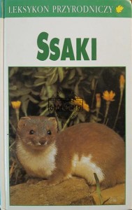 Ssaki
