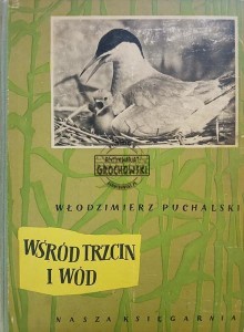 Wśród trzcin i wód