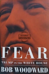 Fear, Trump in the White House