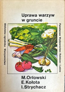 Uprawa warzyw w gruncie
