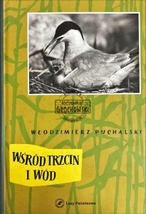 Wśród trzcin i wód
