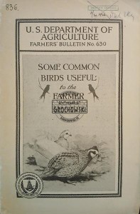 Some Common Birds Useful to the Farmer