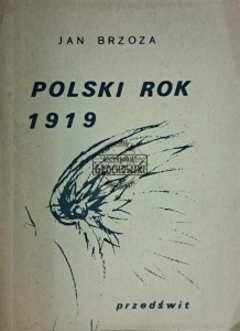 Polski rok 1919