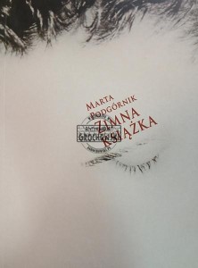Zimna książka