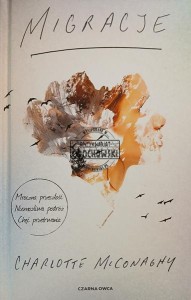 Migracje