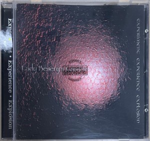 Lady Besery's Garden – Experiment Experience Explosion CD