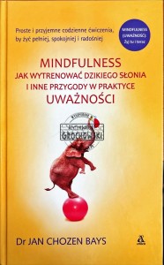 Mindfullness. Jak wytrenować dzikiego słonia i inne przygody w praktyce uważności