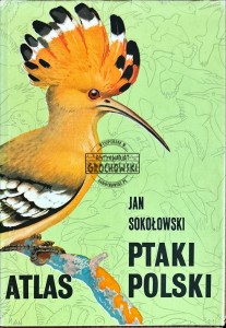 Ptaki Polski