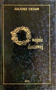 O wojnie domowej
