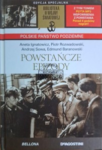 Powstańcze epizody