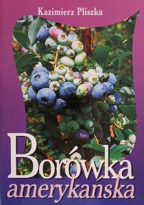 Borówka amerykańska