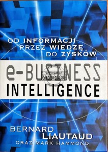E-business intelligence