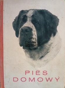 Pies domowy