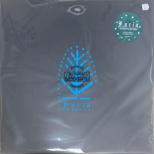 Furia – Grudzień Za Grudniem LP (Limited Edition)