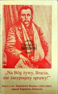 Na Bóg żywy, Bracia, nie zasypiajmy sprawy! Rzecz o ks. Stanisławie Brzósce (1834-1865)