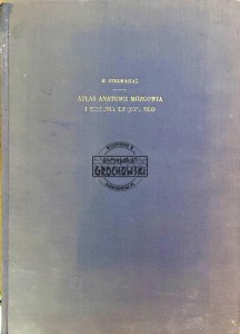 Atlas anatomii mózgowia i rdzenia kręgowego
