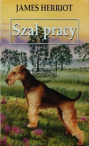 Szał pracy