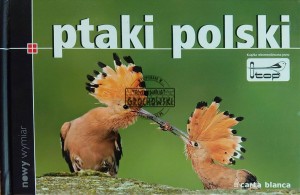 Ptaki Polski