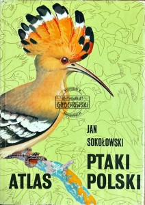 Ptaki Polski